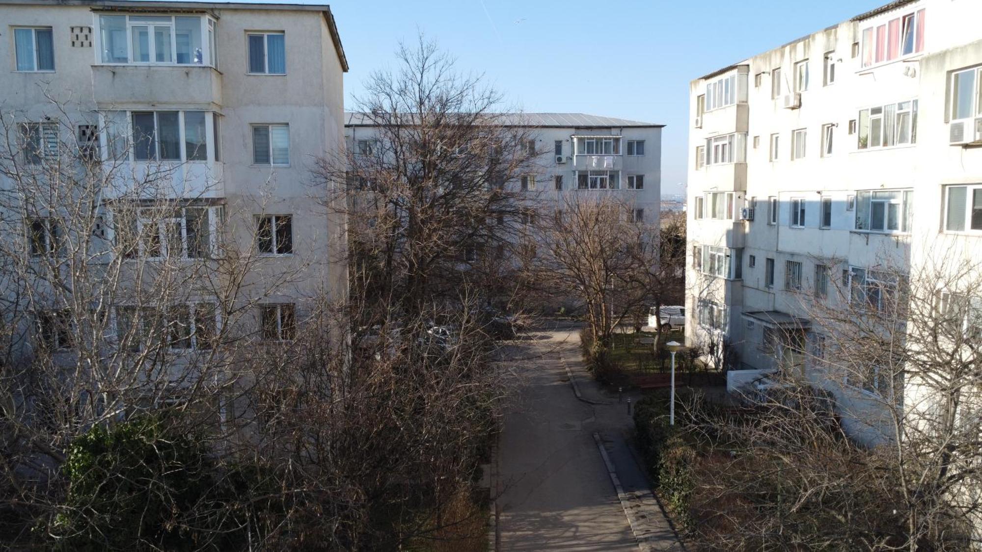 Miralex - Tomis Nord-ciresica